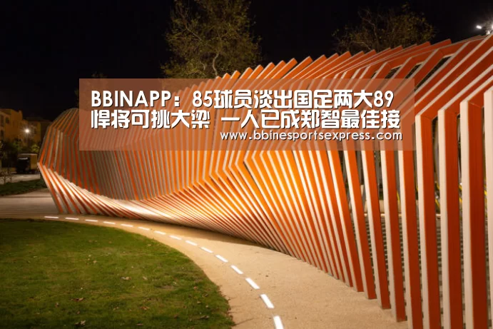 BBINAPP:85球员淡出国足两大89悍将可挑大梁 一人已成郑智最佳接班人(图2) BBINAPP:85球员淡出国足两大89悍将可挑大梁 一人已成郑智最佳接班人(图2)