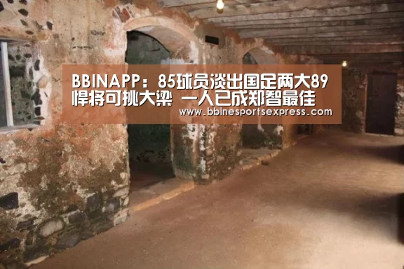BBINAPP:85球员淡出国足两大89悍将可挑大梁 一人已成郑智最佳接班人(图1) BBIN地址